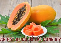 Ăn hạt đu đủ có tác dụng gì? Hướng dẫn ăn hạt đu đủ trị bệnh đúng cách